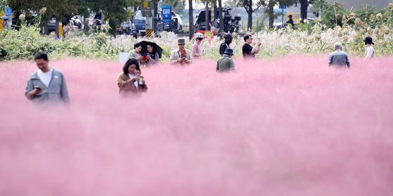 기온 '뚝' 쌀쌀…강원·경북 20㎜ 그밖엔 10㎜ 비 [퇴근길날씨]