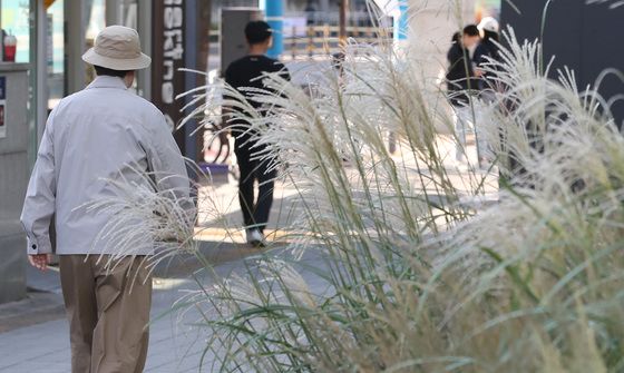 [오늘의 날씨] 인천(1일, 금)…흐리고 아침 '쌀쌀' 최저 8도