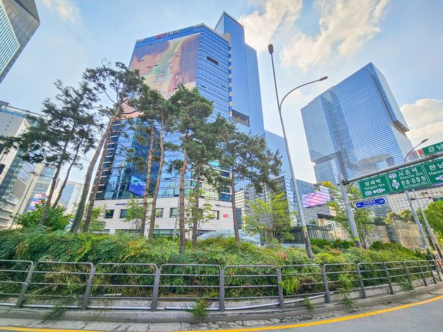 강남대로 난립하던 불법 현수막 20개, 천막 1곳 철거 완료