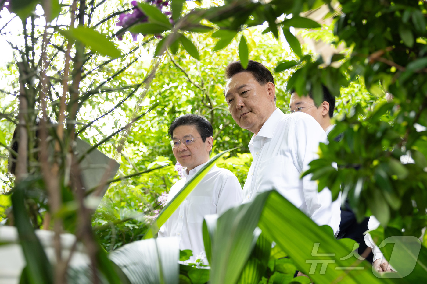 (서울=뉴스1) 박지혜 기자 = 윤석열 대통령이 8일(현지시간) 싱가포르 국립식물원을 방문해 로런스 웡 싱가포르 총리와 함께 귀빈의 이름이 부여된 난초를 살펴보고 있다. (대통령실 …