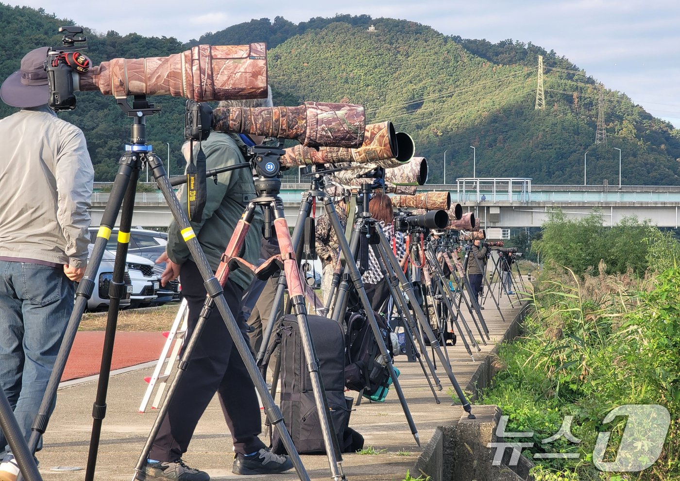 한글날인 9일 경북 포항시 남구 연일읍 형산강에서 생태사진작가들이 물수리의 사냥 모습을 촬영하고 있다. 2024.10.9/뉴스1 ⓒ News1 최창호 기자