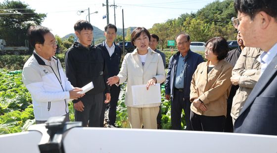 송미령 장관, 배추 출하 생육상황 점검