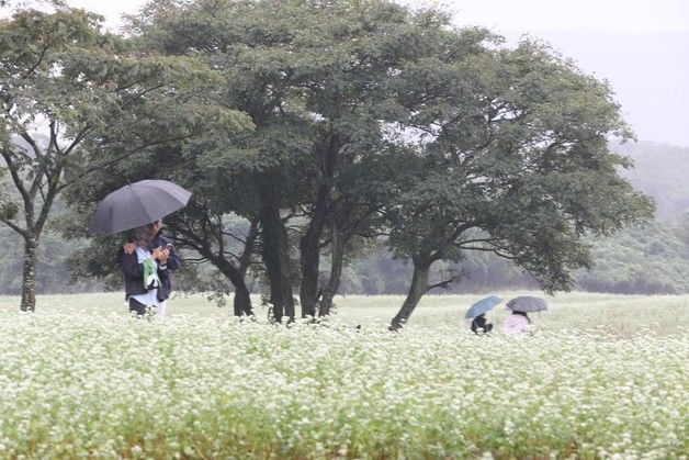 [오늘의 날씨] 제주(14일, 월)…낮부터 가끔 비, 낮 최고 26도