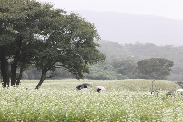 남부, 아침까지 천둥·번개 동반 강한 비…낮 최고 25도까지 올라