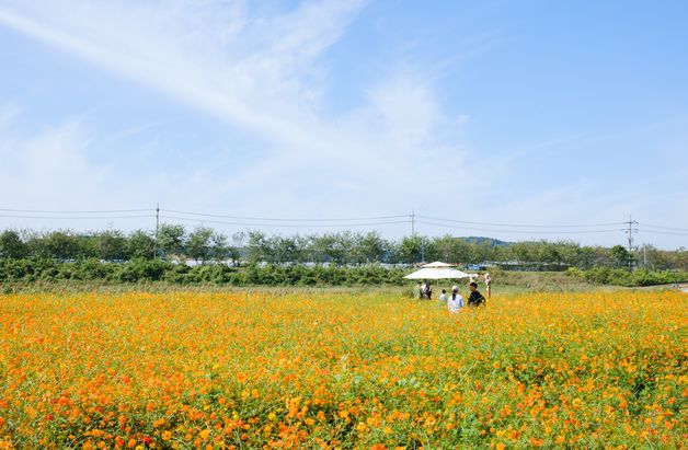 [오늘의 날씨] 세종·충북(21일, 월)…오전 쌀쌀, 낮 18~21도