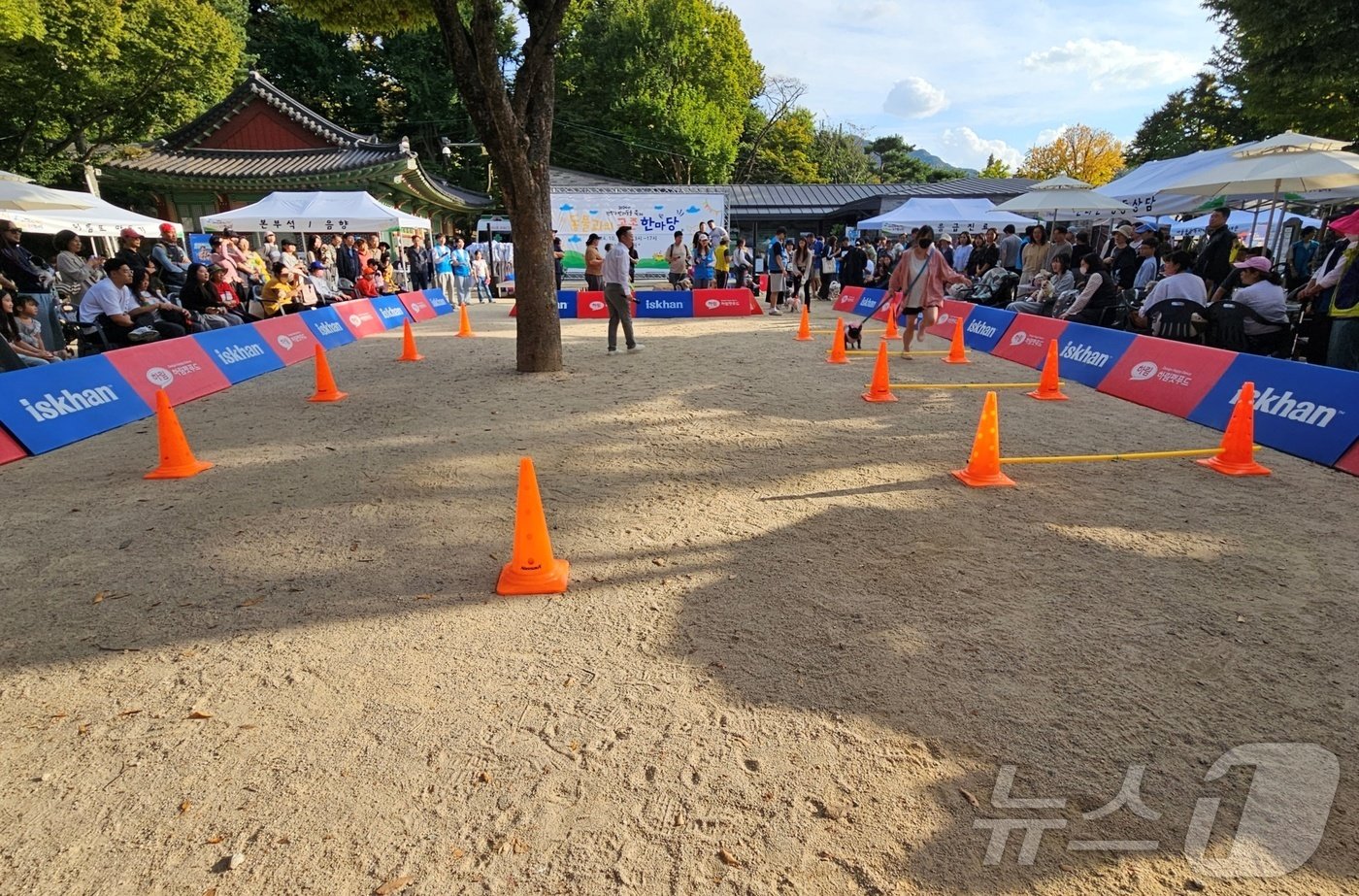 2024년 관악구 반려동물 축제 &#39;동물과의 공존 한마당&#39;이 9일 서울 관악구 낙성대공원에서 열렸다. ⓒ 뉴스1 최서윤 기자