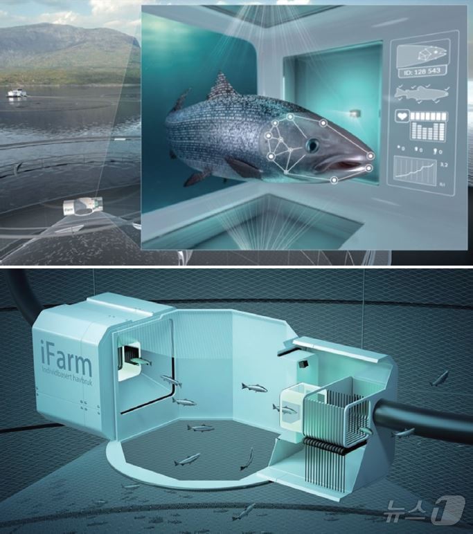 본문 이미지 - cermaq의 ifarm 프로젝트_화상인식기술을 활용한 개체관리시스템 &#40;출처: cermaq 누리집&#41;