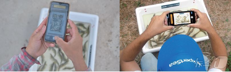 본문 이미지 - 엑스퍼트씨&#40;xpertSea MAX&#41;의 사진 촬영 방식&#40;출처: xpertsea 누리집&#41;