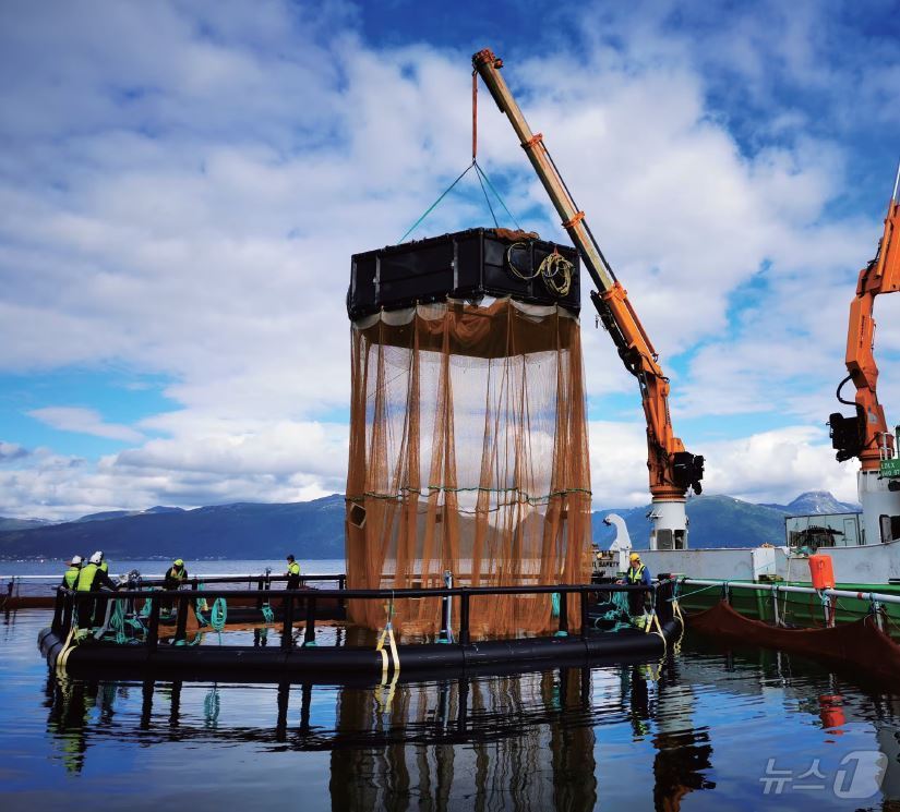 본문 이미지 - 인공지능 기반으로 개발 및 운영되는 cermaq의 ifarm&#40;출처: cermaq 누리집&#41;