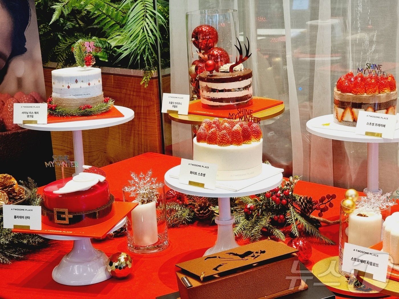 본문 이미지 - 투썸플레이스가 지난 1일 '홀리데이 시즌 캠페인 기자간담회'를 갖고 겨울철 케이크 신메뉴를 공개했다. 화이트 스초생 등 신메뉴가 행사장에 전시돼있다. ⓒ News1 이형진 기자