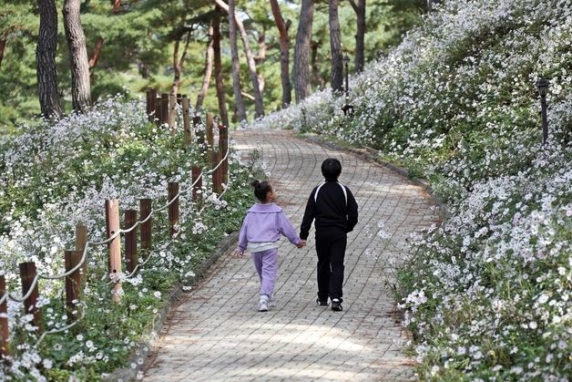 정읍 구절초정원·내장산, 문체부 '열린관광지' 사업 선정