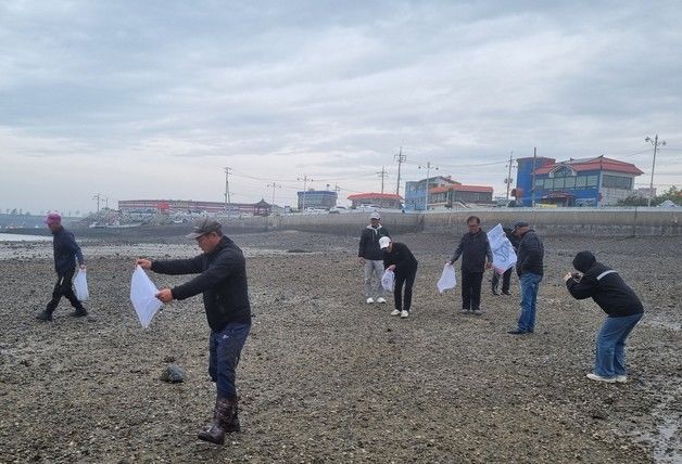 충남도, 서산‧태안 연안에 어린 바지락 100만마리 방류