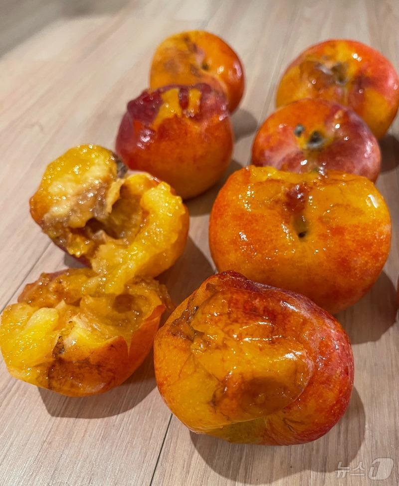 본문 이미지 - ('보배드림')