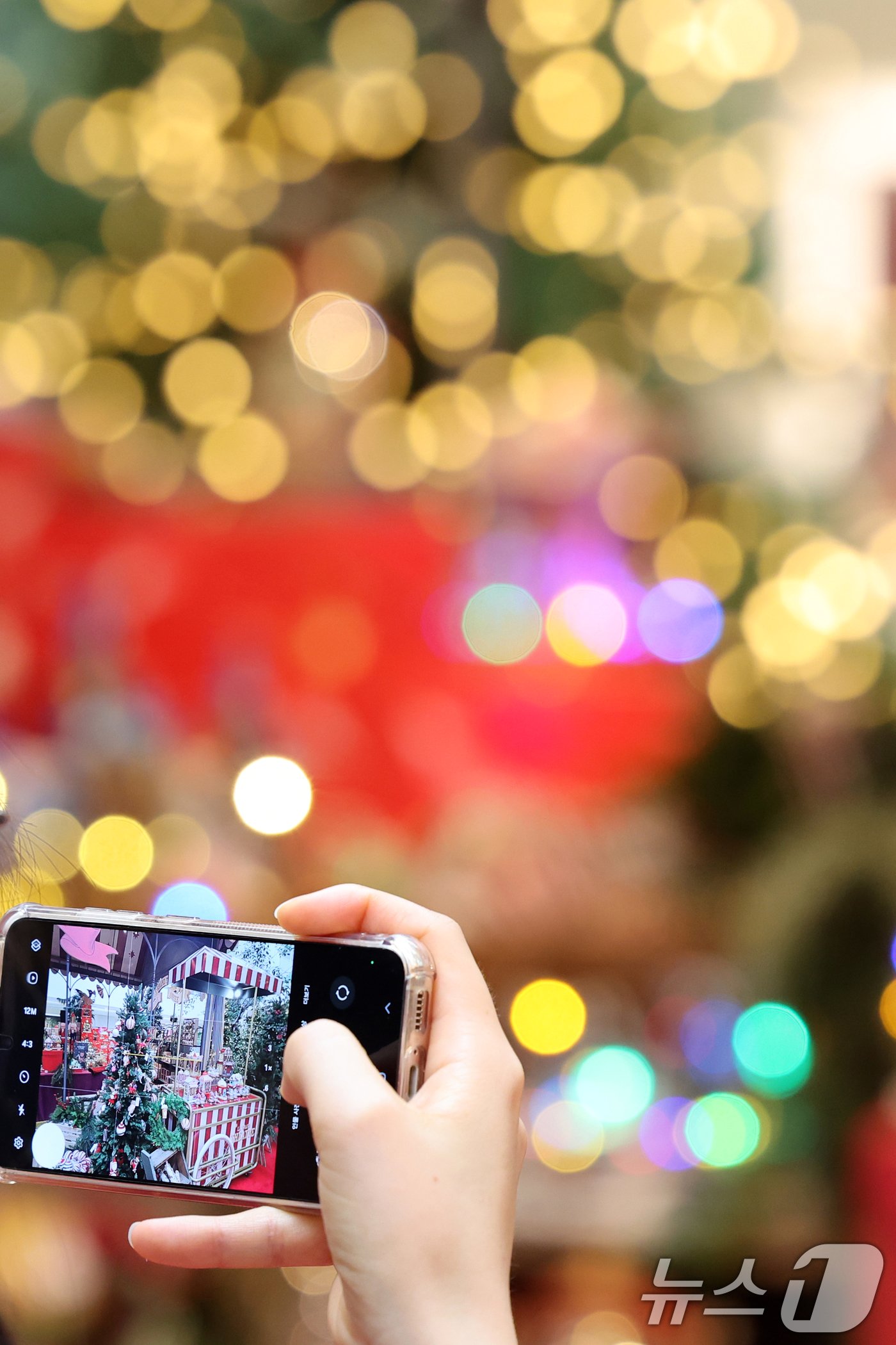 본문 이미지 - 1일 서울 영등포구 여의도 더현대 서울 사운즈 포레스트에 크리스마스 장식이 설치돼 있다.  2024.11.1/뉴스1 ⓒ News1 황기선 기자