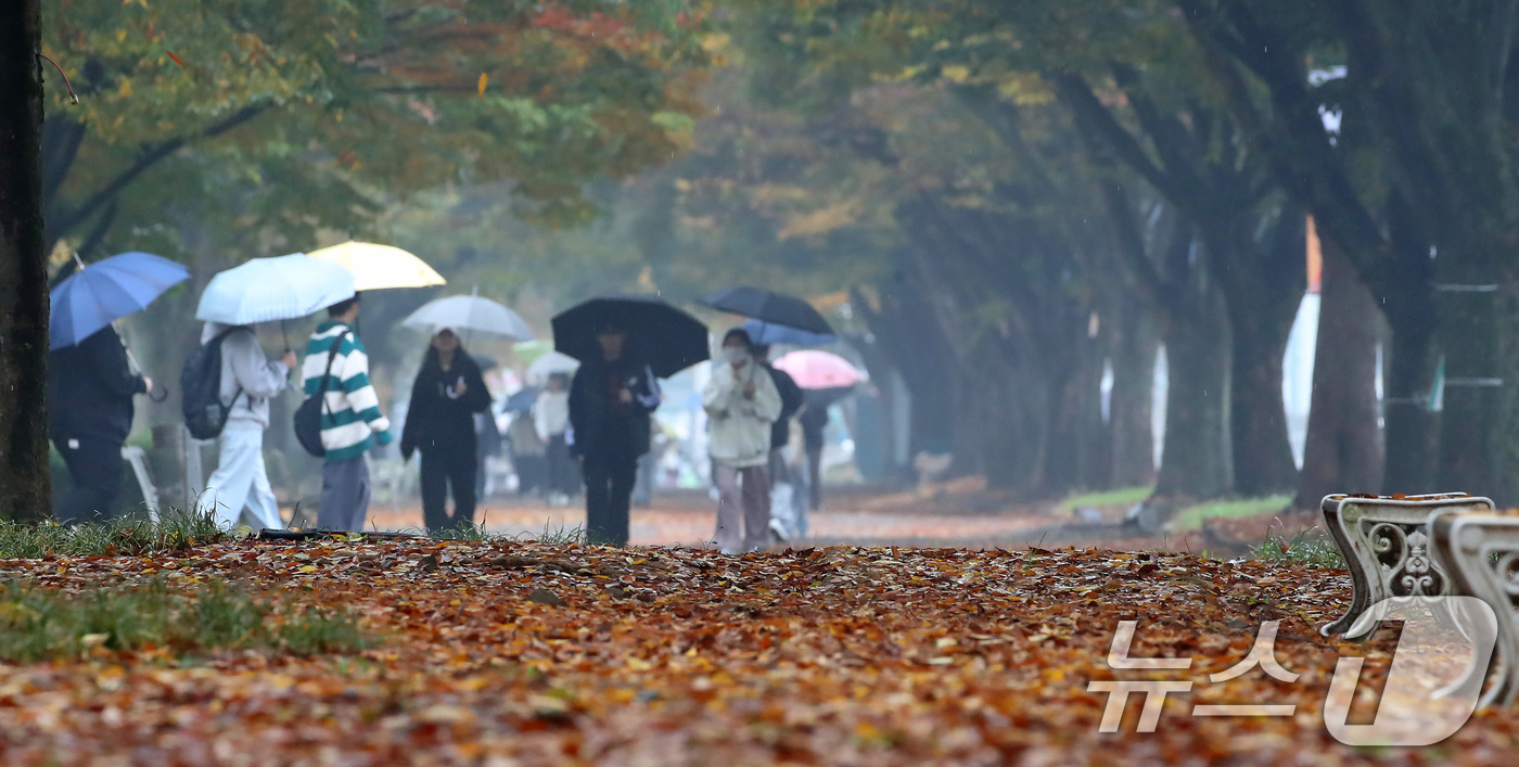 (경산=뉴스1) 공정식 기자 = 가을비가 내린 1일 대구대학교 경산캠퍼스에 낙엽이 쌓이고 있다. 2024.11.1/뉴스1