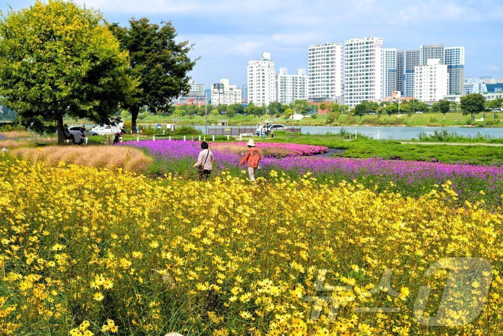 울산 남구 태화강 그라스정원&#40;울산 남구 제공&#41;