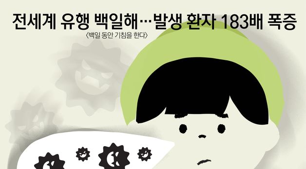 [오늘의 그래픽]전세계 유행 백일해…발생 환자 183배 폭증