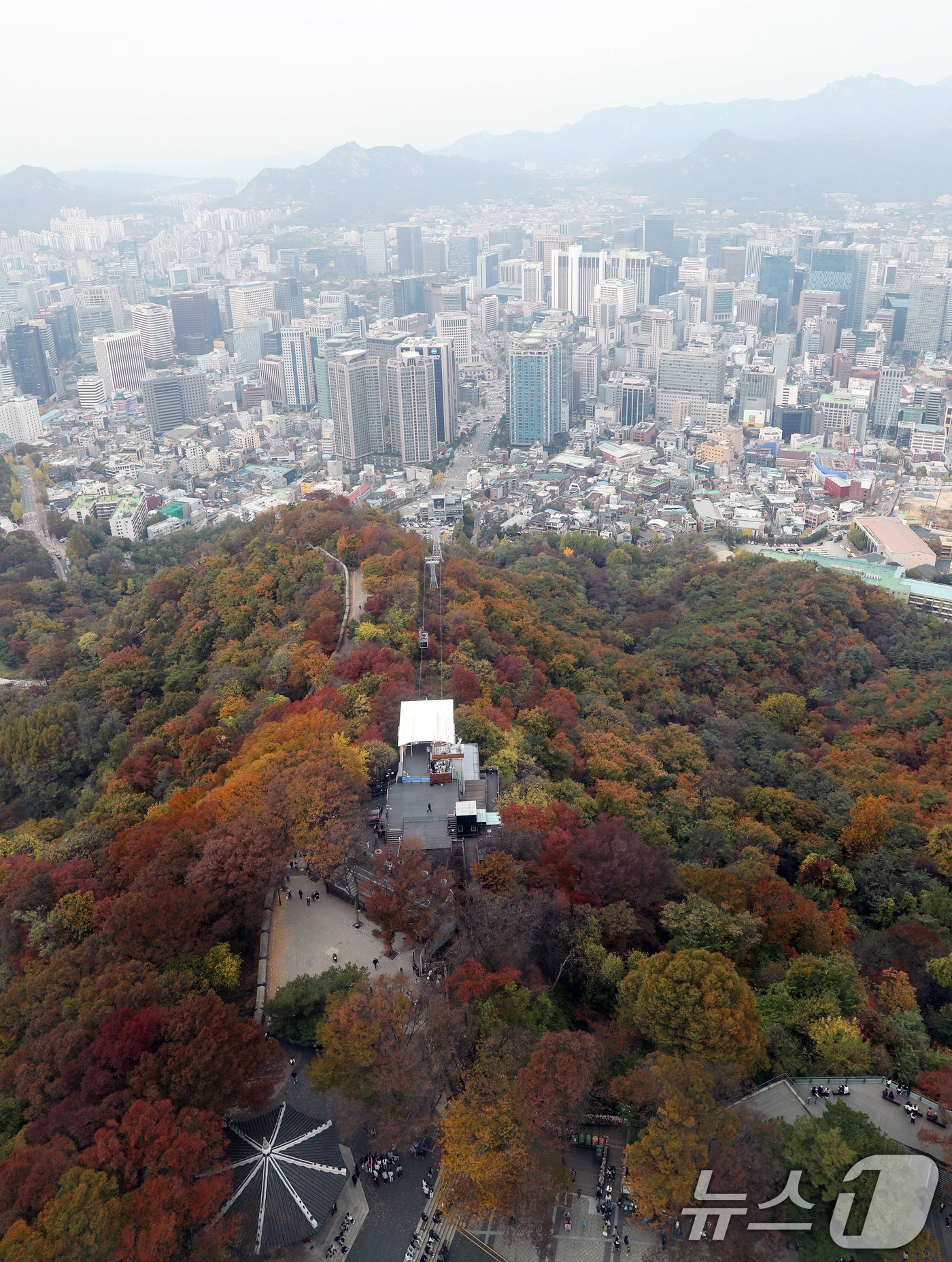 (서울=뉴스1) 이승배 기자 = 1일 오후 서울 중구 남산의 나무들에 단풍이 물들어 있다. 2024.11.1/뉴스1