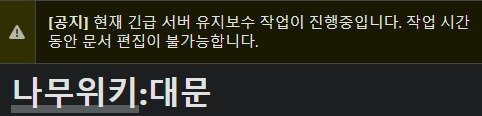 &#40;나무위키 갈무리&#41;