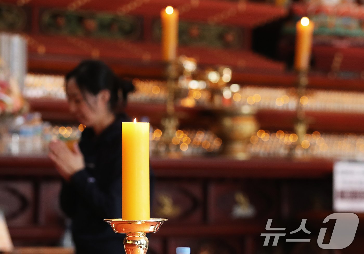 본문 이미지 - 2025학년도 대학수학능력시험을 나흘 앞둔 10일 오전 서울 종로구 조계사에서 불자들이 자녀의 학업 성취를 기원하며 기도하고 있다. 2024.11.10/뉴스1 ⓒ News1 오대일 기자