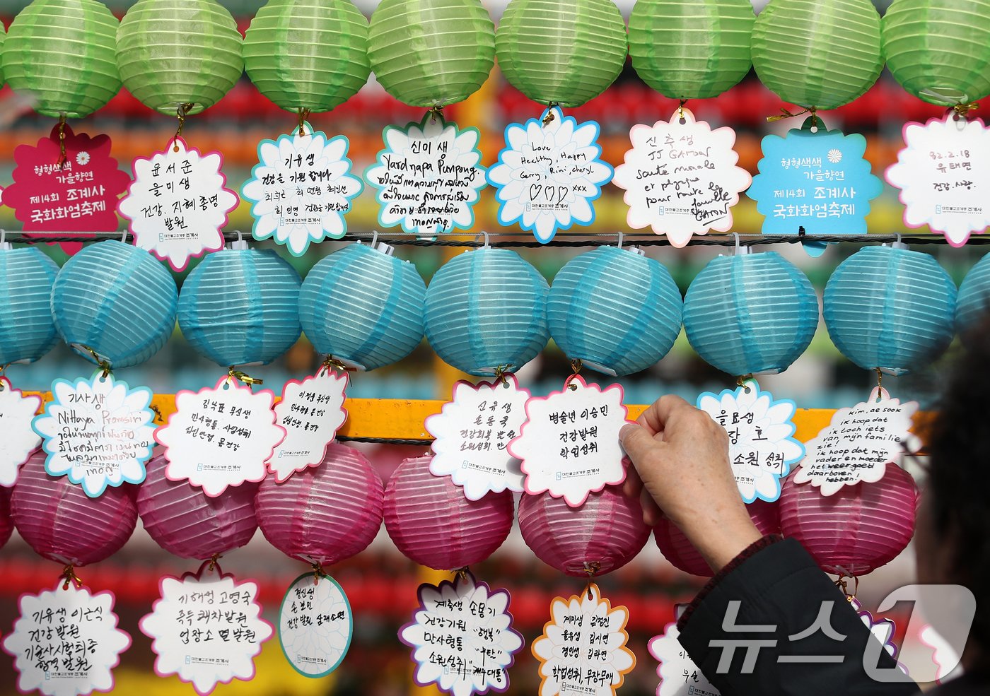 본문 이미지 - 2025학년도 대학수학능력시험을 나흘 앞둔 10일 오전 서울 종로구 조계사에 수능 고득점 기원 연등이 빼곡히 걸려 있다. 2024.11.10/뉴스1 ⓒ News1 오대일 기자