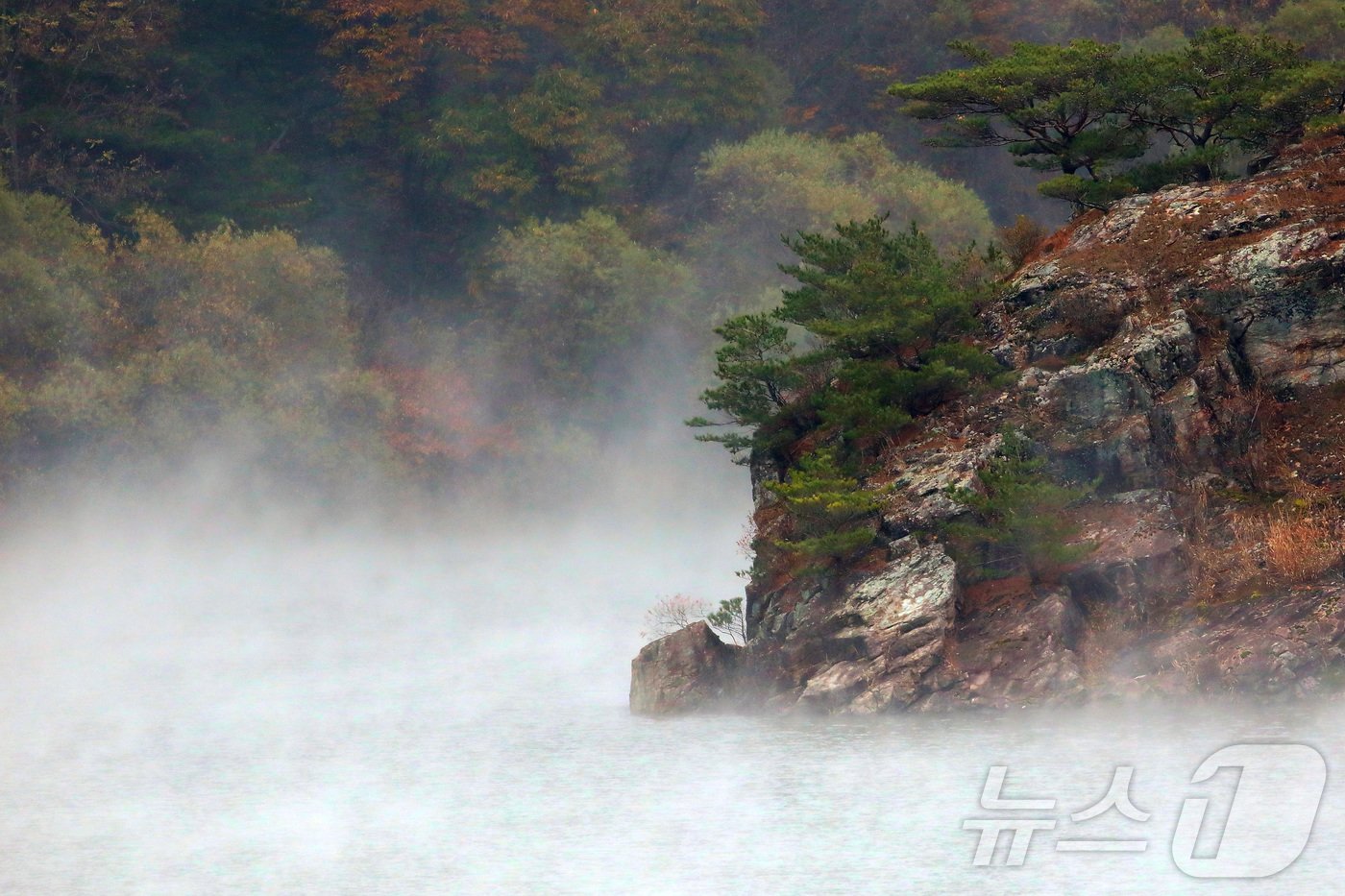 본문 이미지 - 10일 오전 강원 인제군 소양호가 급격히 떨어진 기온의 영향으로 물안개가 피면서 장관을 연출하고 있다.(인제군 제공) 2024.11.10/뉴스1 