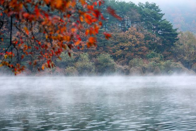 물안개 스며든 소양호의 만추 '장관'…강원 명산 가을 손님 '가득'