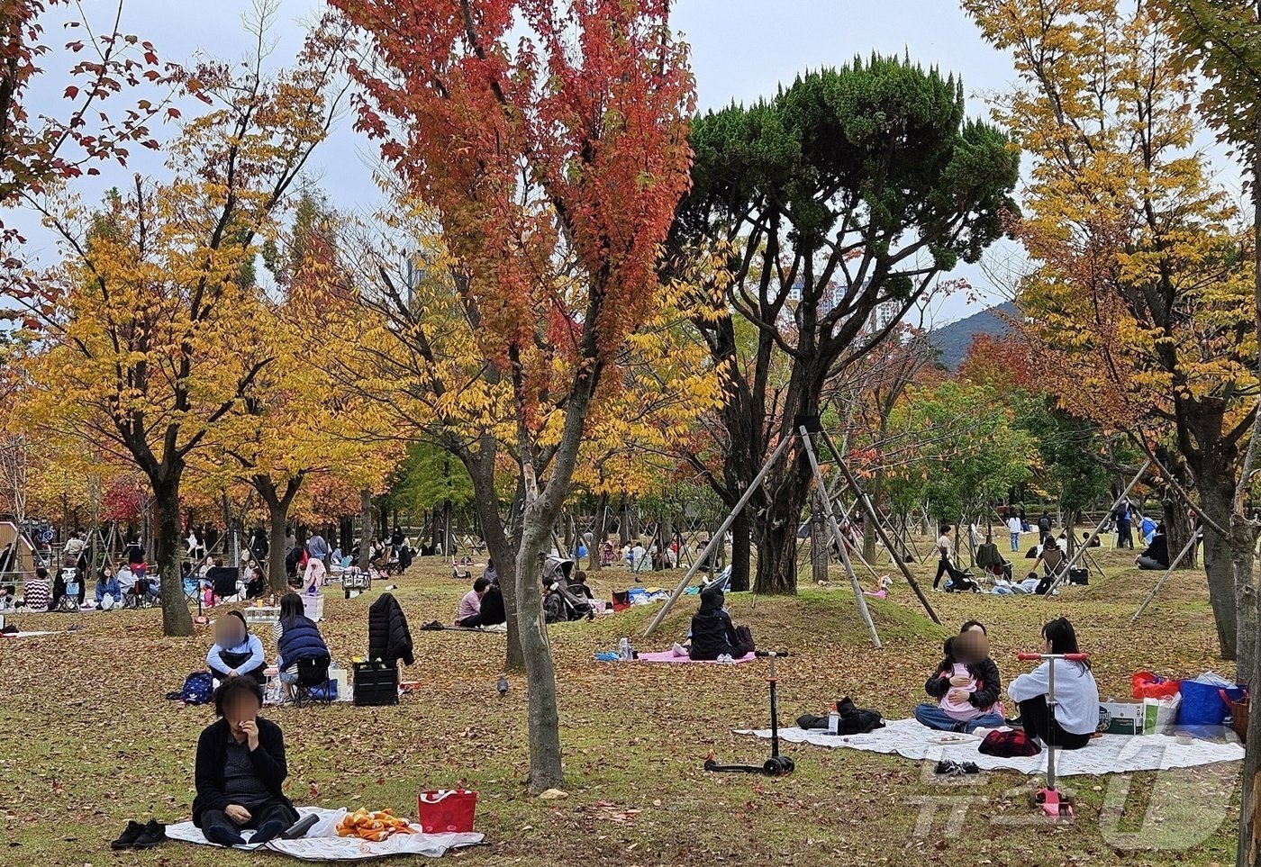 10일 부산시민공원에서 나들이객들이 잔디밭에 돗자리를 펴고 여유로운 시간을 보내고 있다.2024.11.10/ 뉴스1 ⓒ News1 조아서 기자