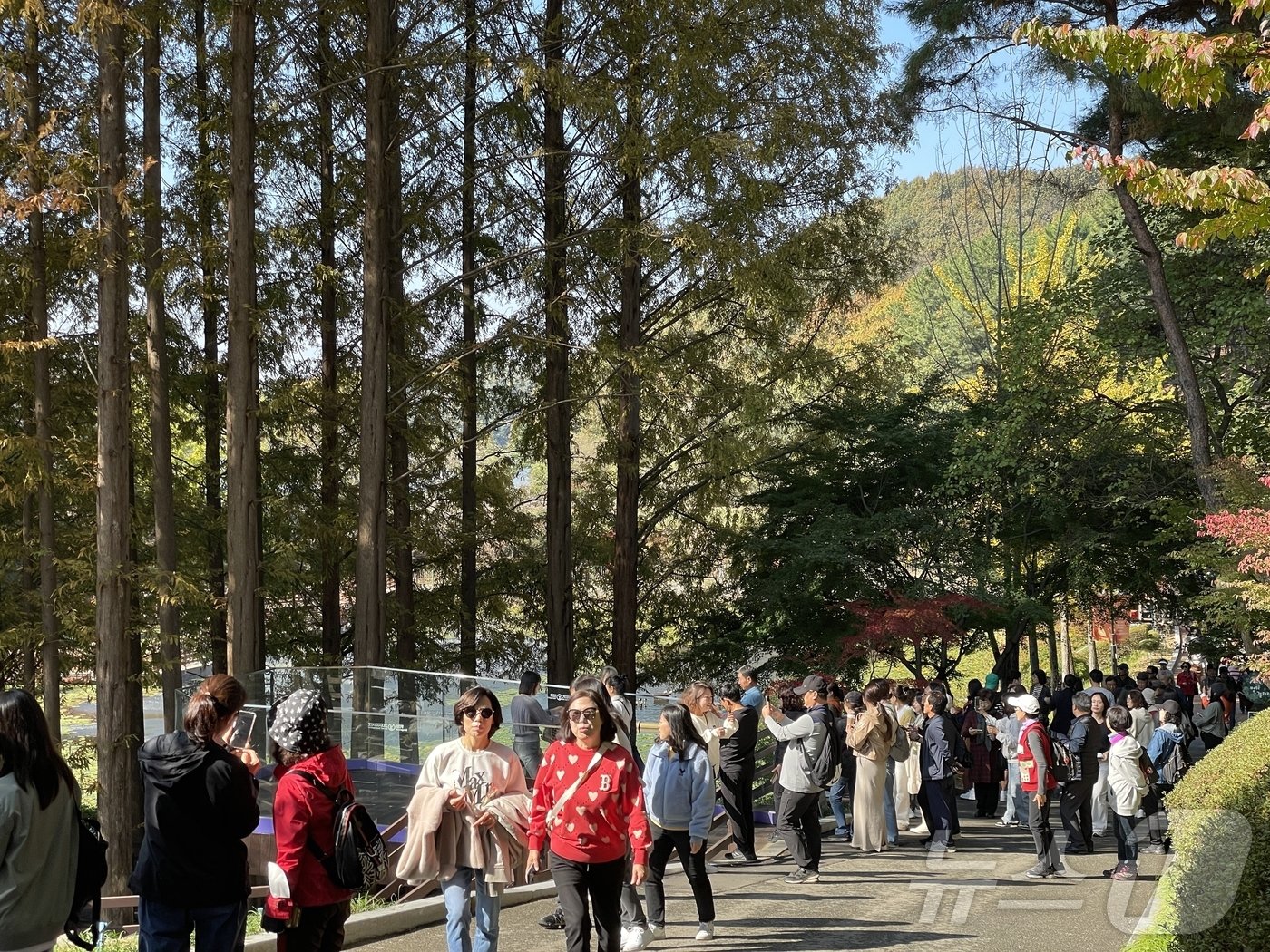 청남대 가을 축제장을 찾은 관광객들.&#40;청남대 제공&#41;2024.11.10/뉴스1