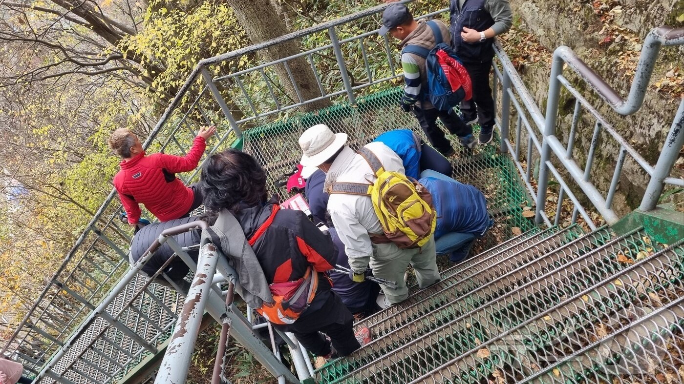 본문 이미지 - 10일 오전 9시 17분께 전북자치도 완주군 대둔산 케이블카 계단에서 쓰러진 50대 남성을 인근에서 등산 중이던 이정란 의용소방대원이 심폐소생술로 살려냈다.(전북자치도소방본부 제공) 2024.11.11/뉴스1