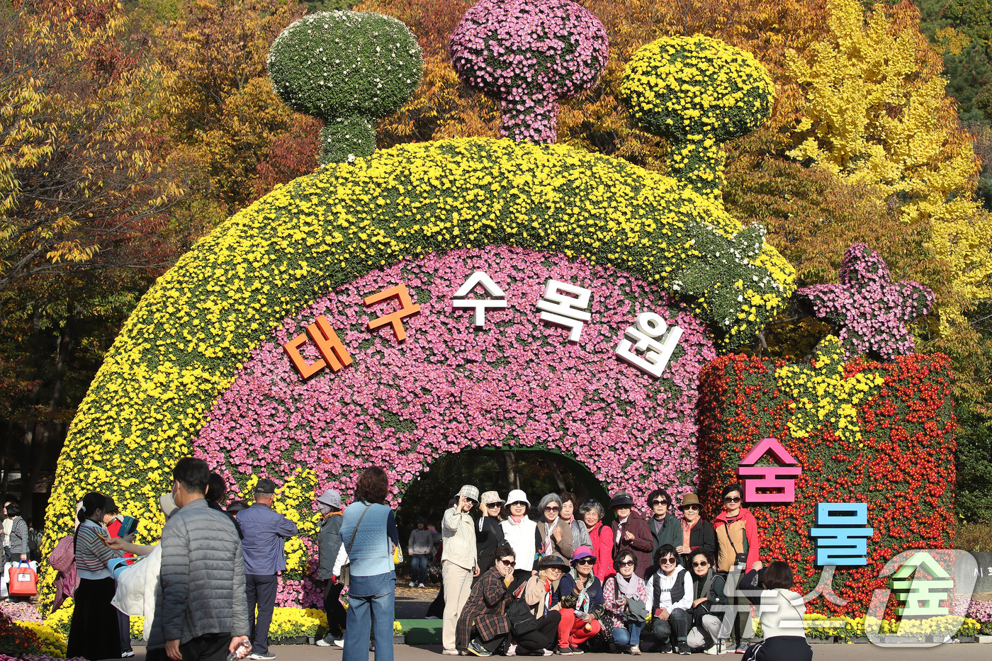 (대구=뉴스1) 공정식 기자 = 주말에 이어 포근한 날씨가 이어진 11일 오후 대구 달서구 대구수목원에서 열린 국화전시회를 찾은 시민들이 활짝 핀 국화를 배경으로 기념촬영하며 짙어 …