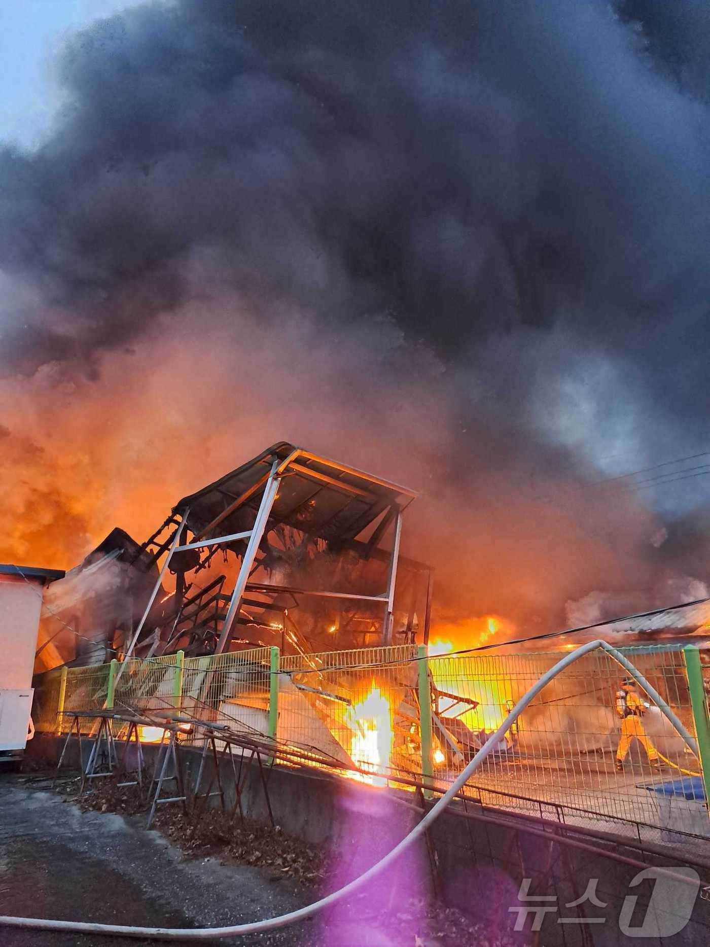 본문 이미지 - 11일 오후 강원 강릉시 주문진읍 교항리 명태 가공 공장 화재 현장.&#40;강원도소방본부 제공&#41; 2024.11.11/뉴스1
