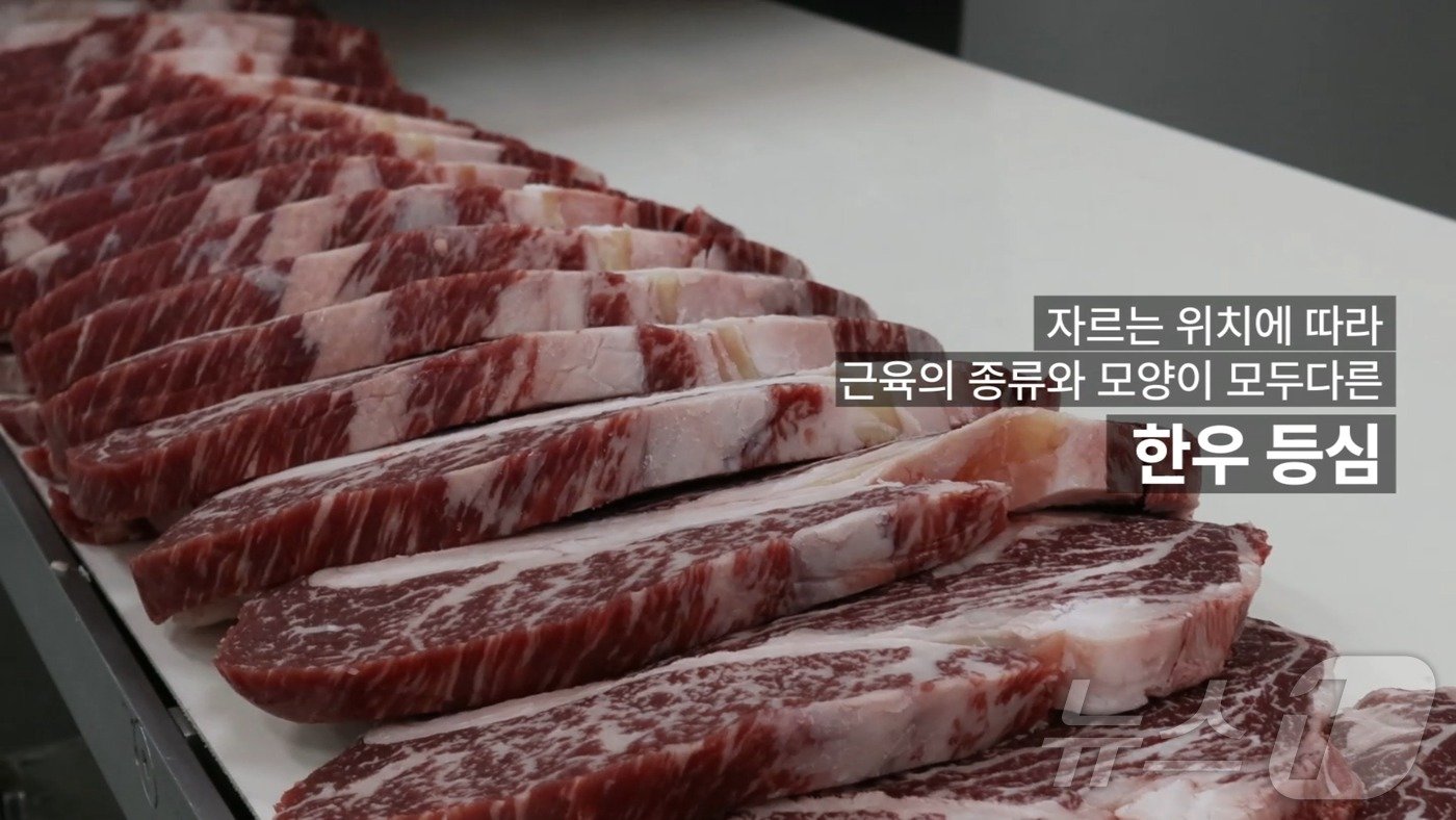 본문 이미지 -  아이고기 플랫폼 설명 영상 캡처.(어니스트초이스 제공)/뉴스1