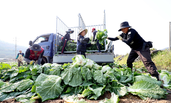 외국인 계절노동자 인신매매·착취 막는다…정부 합동점검 착수
