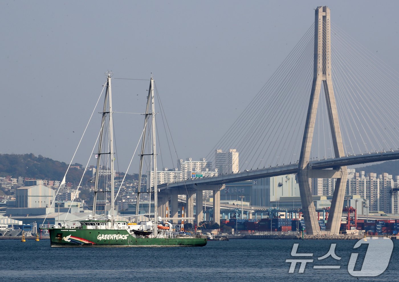 본문 이미지 - 국제 환경단체 그린피스의 상징인 환경감시선 '레인보우 워리어호'(855톤)가 12일 부산항 북항 해상에 묘박 중이다. 2024.11.12/뉴스1 ⓒ News1 윤일지 기자