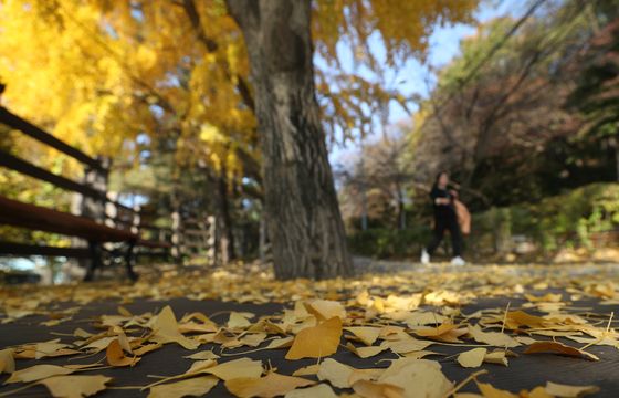 [오늘의 날씨]울산(13일, 수)…새벽 한때 비, 해안 높은 물결