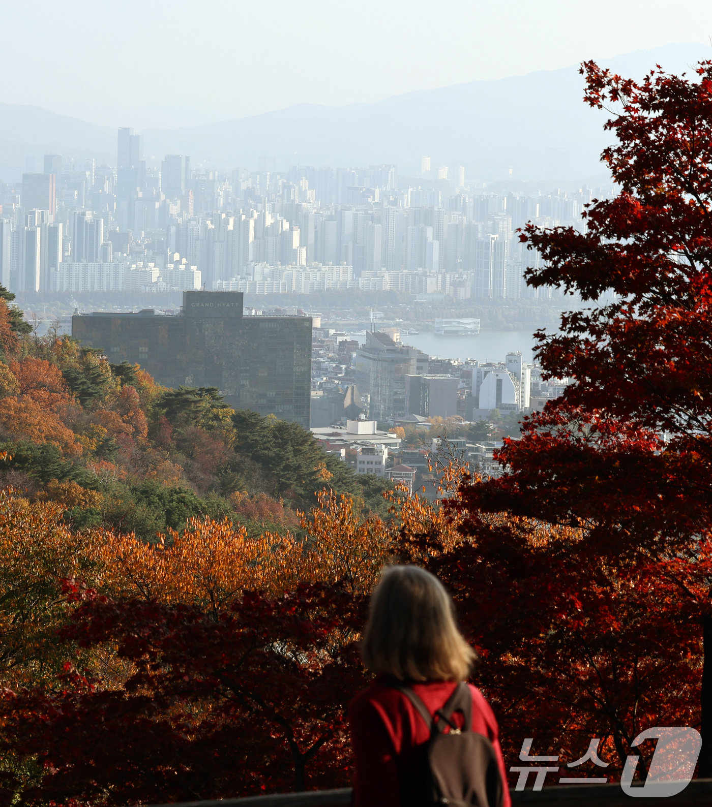 (서울=뉴스1) 구윤성 기자 = 서울과 경기 등 일부 지역의 초미세먼지가 '나쁨'을 보인 12일 오후 서울 남산의 단풍과 회색 도심이 대비를 이루고 있다. 2024.11.12/뉴스 …