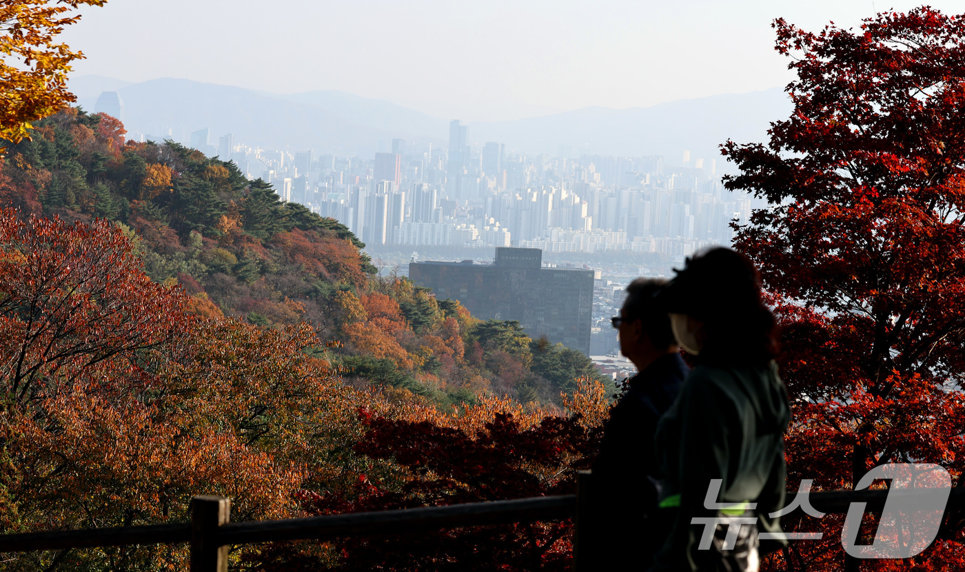 (서울=뉴스1) 구윤성 기자 = 서울과 경기 등 일부 지역의 초미세먼지가 '나쁨'을 보인 12일 오후 서울 남산의 단풍과 회색 도심이 대비를 이루고 있다. 2024.11.12/뉴스 …