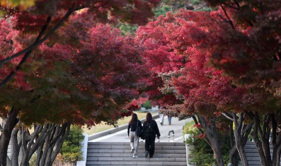 토요일 오후부터 수도권·남부 비…일요일 기온 2~6도 '뚝' 쌀쌀