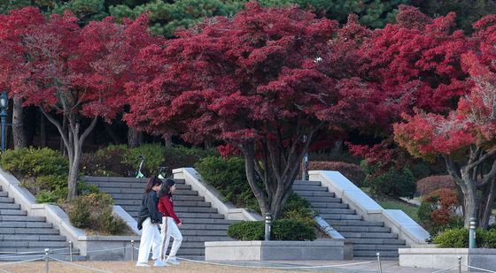 붉게 물든 캠퍼스