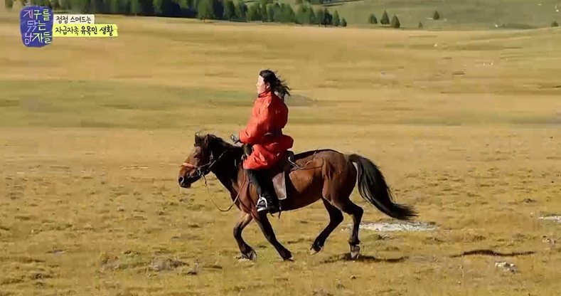 본문 이미지 - MBC