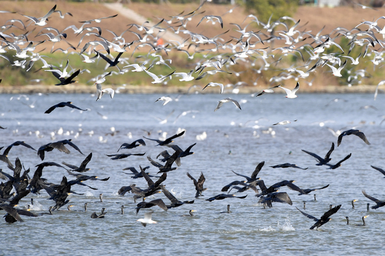 50만 식수원 사수…포항시, 형산강 상수원보호구역 단속 강화