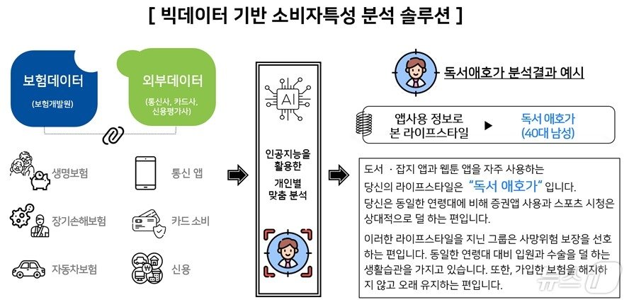 빅데이터 기반 소비자특성 분석 솔루션/사진제공=보험개발원