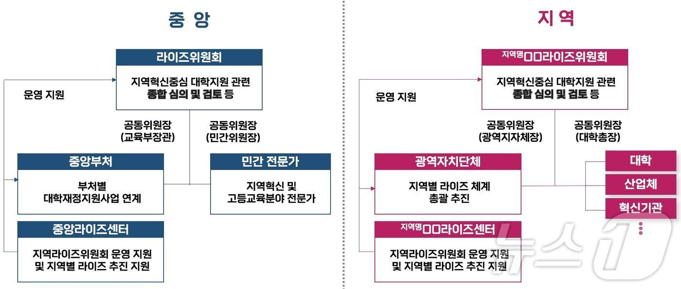 중앙-지역 라이즈 거버넌스 구조도. &#40;교육부 제공&#41;