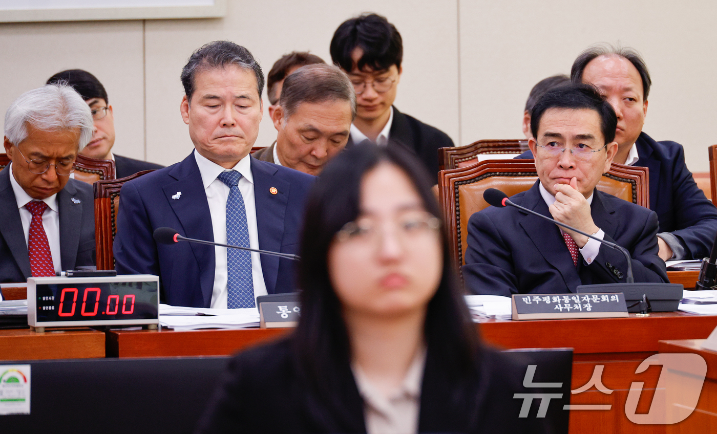 (서울=뉴스1) 안은나 기자 = 김영호 통일부 장관과 태영호 민주평화통일자문회의 사무처장이 13일 서울 여의도 국회에서 열린 외교통일위원회 제418회국회(정기회) 제5차 전체회의에 …