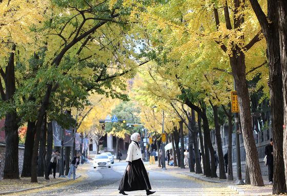 [오늘의 날씨]울산(14일, 목)…낮 기온 포근, 밤부터 비