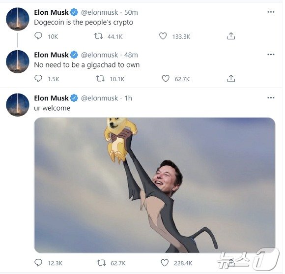 본문 이미지 - 일론 머스크 테슬라 CEO가 지난 2021년 2월 4일 올린 도지코인 관련 트윗. x(구 트위터) 갈무리.