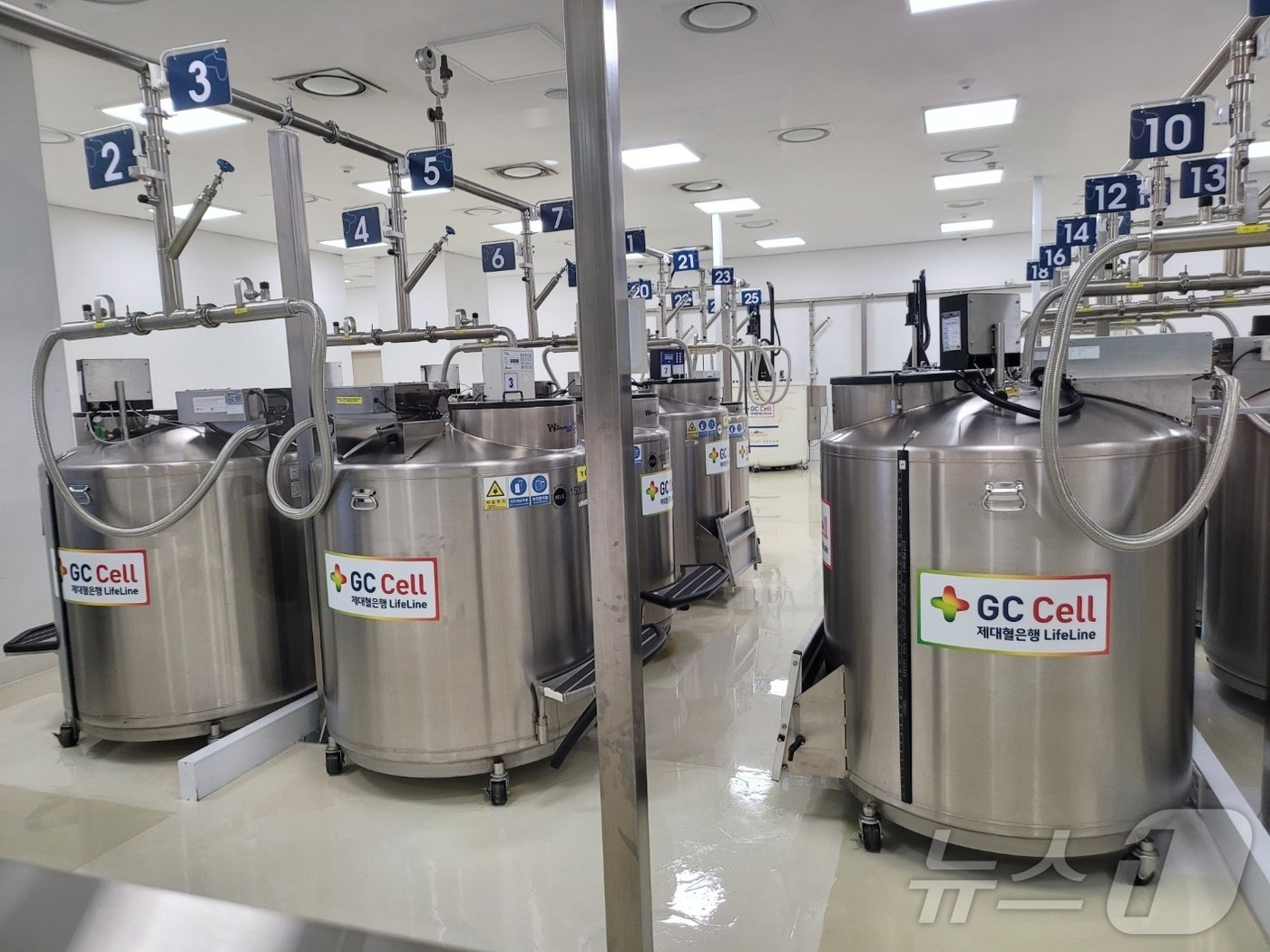 본문 이미지 - 지씨셀이 제대혈 보관에 활용 중인 보관 탱크가 용인 셀센터 지하 1층에 늘어서 있다. 2024. 11. 12/뉴스1 황진중 기자