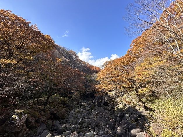 제주 한라산 단풍 '절정'…늦더위 탓에 역대 두번째로 늦어