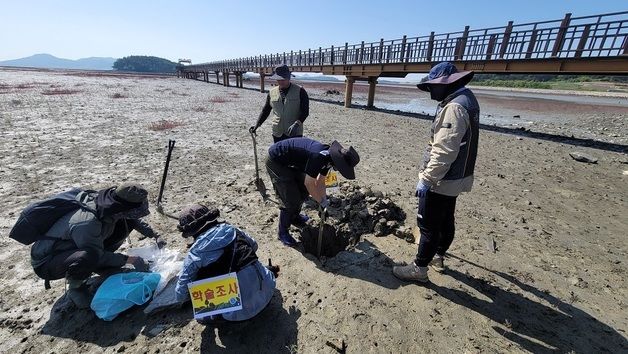 신안군 "갯벌 탄소저장 56조 원 가치"…블루카본 도시 도약